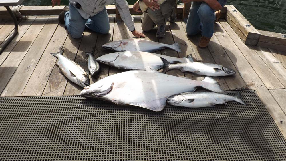 Boat Charter ( FISHING TOURS) 